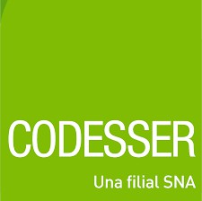 Codesser